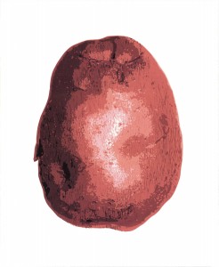Haftner_Potato Print (Red)